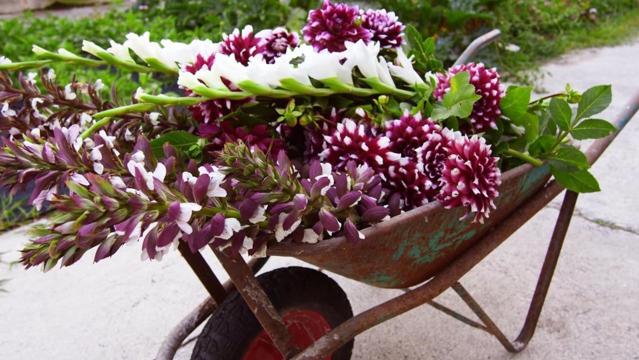 Agriturismo Fiorbello Montirone 外观 照片