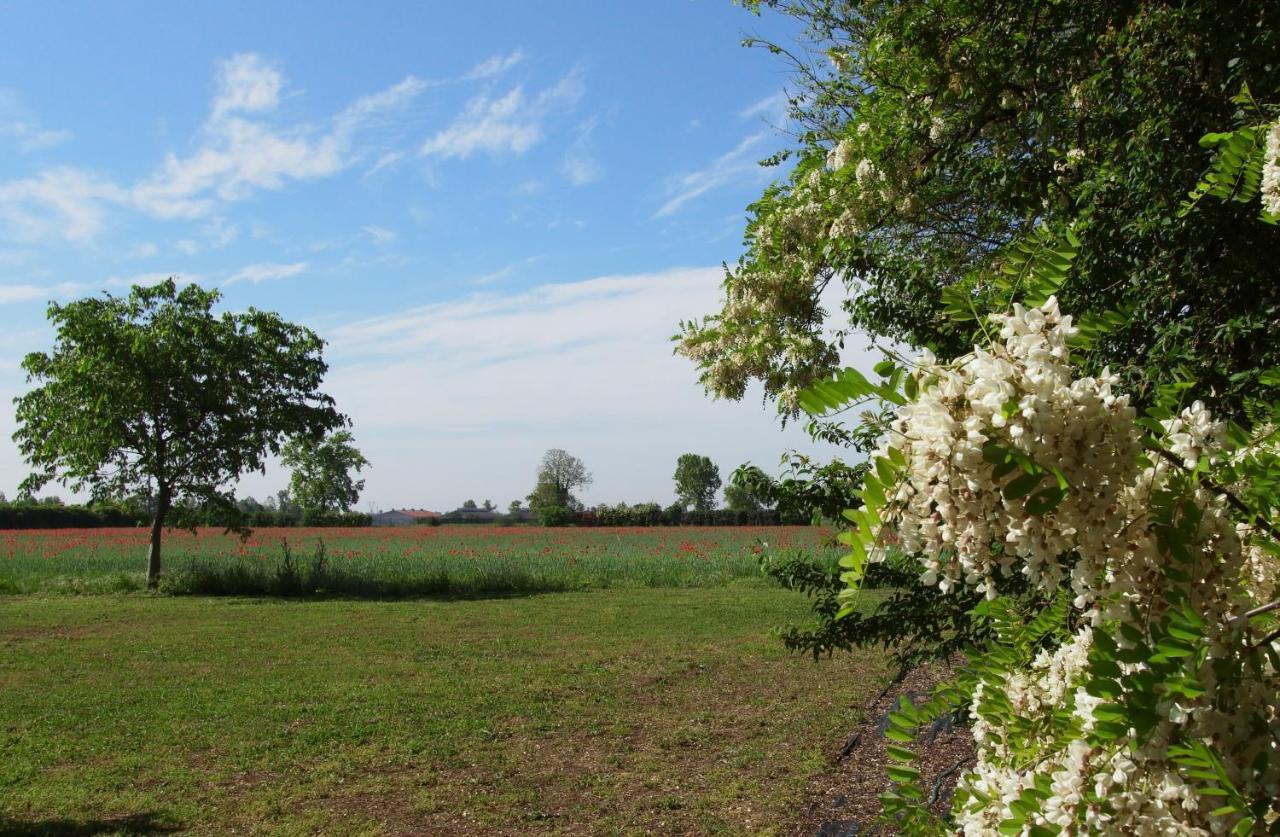 Agriturismo Fiorbello Montirone 外观 照片